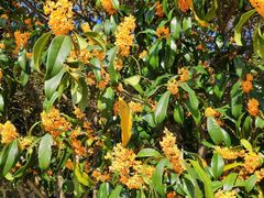 -上海市龙华烈士陵园