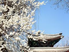 -颐和园-画中游
