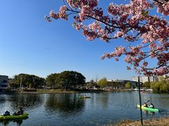 -新江湾城公园