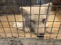 -酷嗒动物文化乐园(cutezoo西溪乐天城店)