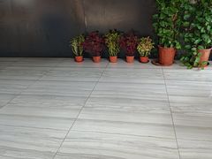 -汇乐游泳馆(莲花南路店)