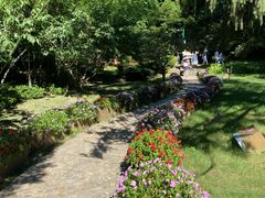 -庐山风景区花径公园