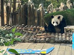 -大连森林动物园