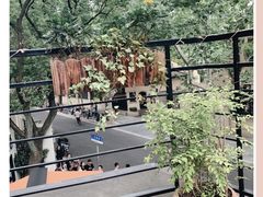 -龙门阵茶屋川菜馆(武康路店)