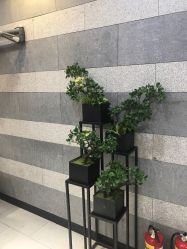-首脑美发沙龙