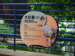 -九龙公园