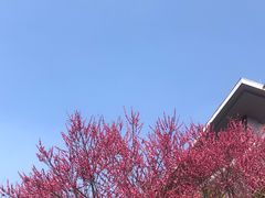 -杭州城北体育公园