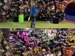 -正佳雨林生态植物园