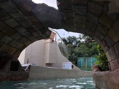 -新加坡水上探险乐园