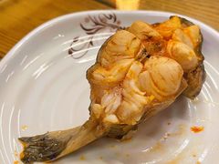 鮰鱼-芦苇荡·酸汤鱼(回龙观店)