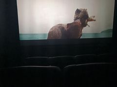 -博纳国际影城IMAX(中央大道店)
