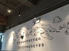 -MR鹅外