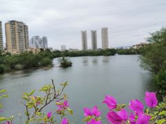 -金鸡岭桥头公园