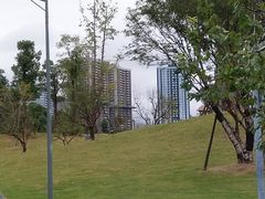 -东岳体育公园