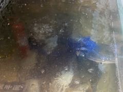 -永红源·小排档(闽江路店)