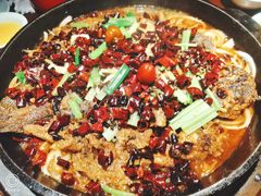 老板恋上鱼-老板恋上鱼(高新万达店)