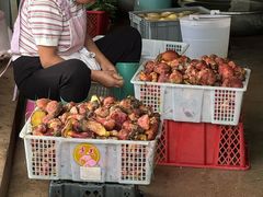 -双喜农庄·菌香园(安居家园店)