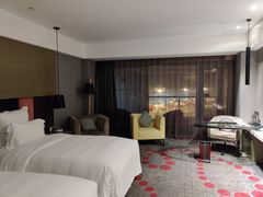 -南京禄口机场雅高铂尔曼大酒店