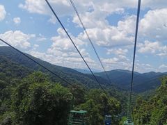 -野象谷景区