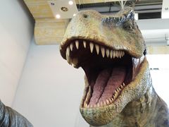 -宁波国际会展中心