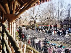 -中华郡文化旅游景区