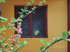 -灵隐飞来峰景区