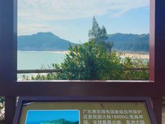 -广东惠东海龟国家级自然保护区