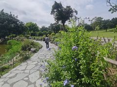 -东莞植物园