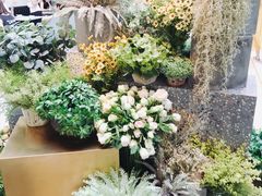 -大树餐厅(红旗街万达店)