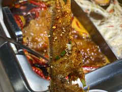 美蛙鸳鸯锅-重庆高老九火锅(文峰广场店)