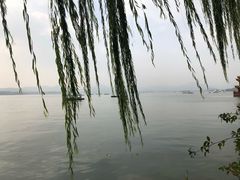-杭州君悦酒店