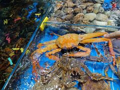 -船奇蒸汽海鲜·闽菜(八市海鲜总店)