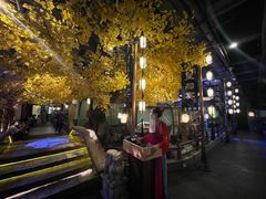 -淀里船宴(裕华东路店)