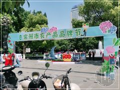 -常州古运河南大街文化旅游区-人民公园