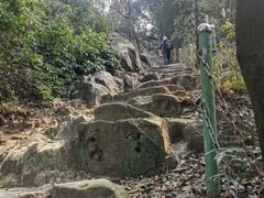 -南山植物园