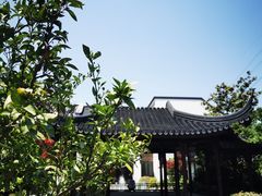 -阳澄湖半岛旅游度假区