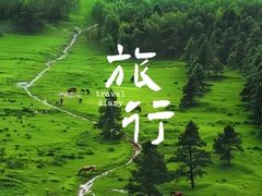 -丰宁坝上草原