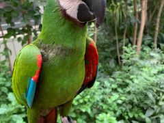 -南宫五洲植物乐园