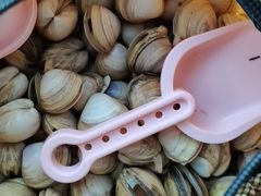 -启东黄金海滩景区