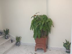 -海涛医疗美容·面部抗衰·注射美鼻