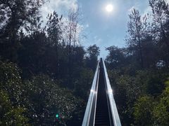-千岛湖天屿景区