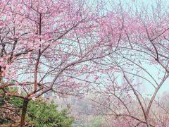 -重庆彩云湖湿地公园