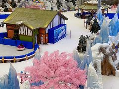 -湘江欢乐城欢乐雪域