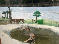 -栾川竹海野生动物园