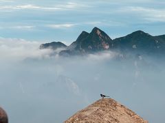 -华山风景名胜区