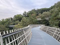 -福道