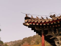 -北京上方山国家森林公园