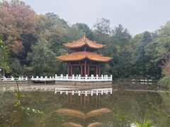 -富乐山