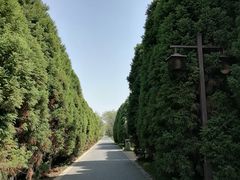 -苏州太湖国家湿地公园