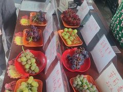 -马陆小张葡萄园农家乐